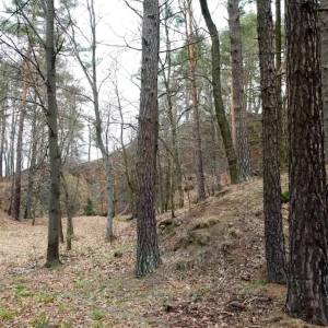 Zamek na Zamkowej Górze w Jeleniej Górze - zamek na zamkowej gorze 1