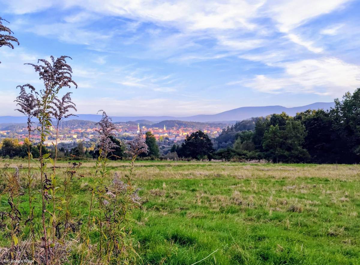 Złoty Widok na Wzgórzu Gapy - zloty widok na wzgorzu gapy 3