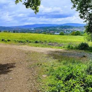 Złoty Widok na Wzgórzu Gapy - zloty widok na wzgorzu gapy 2