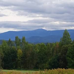 Złoty Widok na Wzgórzu Gapy - zloty widok na wzgorzu gapy 4