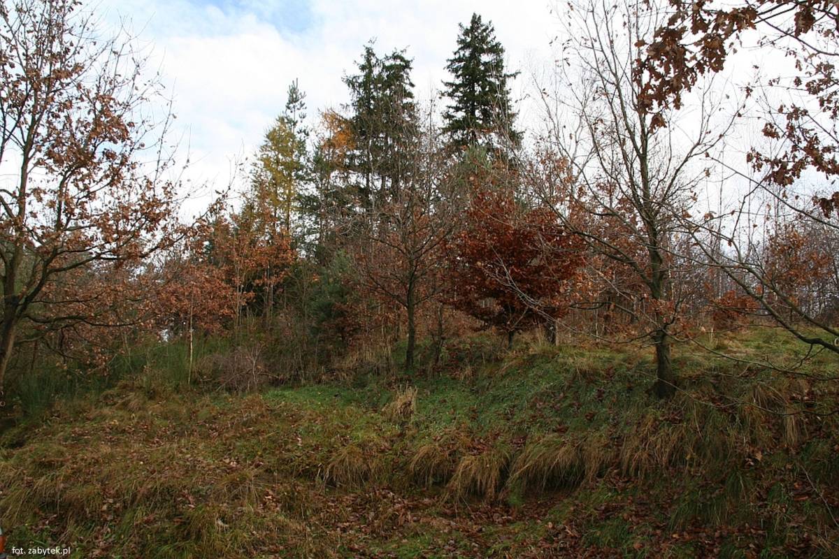 Grodzisko w Jeleniej Górze-Grabarach - grodzisko w jeleniej gorze grabarach 2