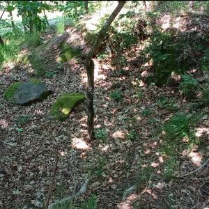 Grodzisko w Jeleniej Górze-Grabarach - grodzisko w jeleniej gorze grabarach 3