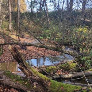 Grodzisko w Jeleniej Górze-Grabarach - grodzisko w jeleniej gorze grabarach 4