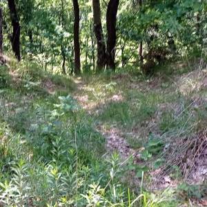 Grodzisko w Jeleniej Górze-Grabarach - grodzisko w jeleniej gorze grabarach 5