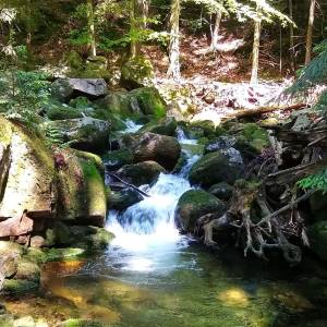 Wodospad Wrzosówki - wodospad wrzosowki