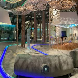 Centrum Przyrodniczo-Edukacyjne KPN - Pałac Sobieszów - centrum przyrodniczo edukacyjne kpn palac sobieszow 11