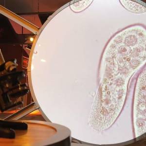 Centrum Przyrodniczo-Edukacyjne KPN - Pałac Sobieszów - centrum przyrodniczo edukacyjne kpn palac sobieszow 13