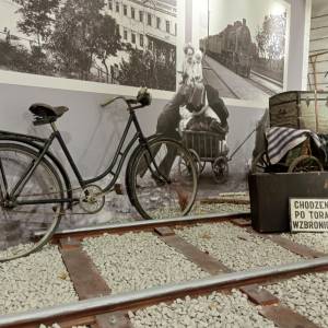 Muzeum Piastów Śląskich w Brzegu - muzeum piastow slaskich w brzegu 78