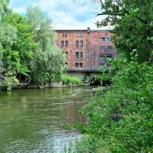 Kanał Młynówka w Brzegu - kanal mlynowka w brzegu 2