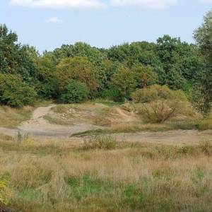 Tor Motocrossowy w Brzegu - tor motocrossowy w brzegu 6