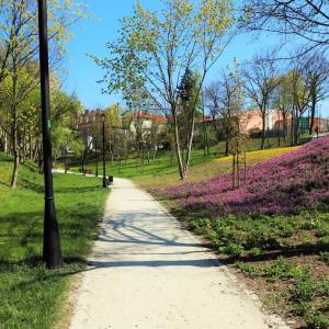 Park Staromiejski w Brzegu - park staromiejski w brzegu 2
