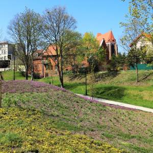 Park Staromiejski w Brzegu - park staromiejski w brzegu 4