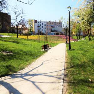 Park Staromiejski w Brzegu - park staromiejski w brzegu 6