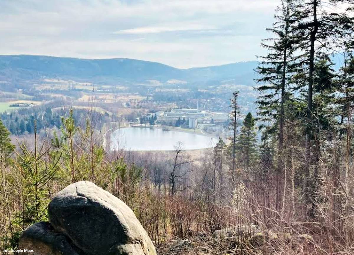 Brzeźnik (555 m n.p.m.) - brzeznik 555 m n p m 1