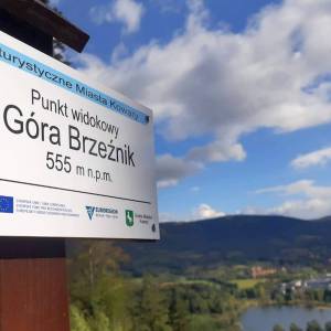 Brzeźnik (555 m n.p.m.) - brzeznik 555 m n p m 4