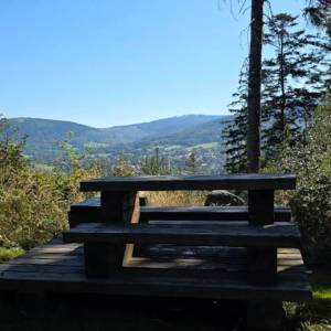 Brzeźnik (555 m n.p.m.) - brzeznik 555 m n p m 5