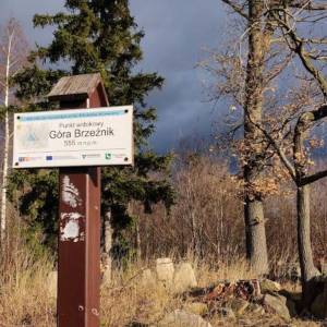 Brzeźnik (555 m n.p.m.) - brzeznik 555 m n p m 6