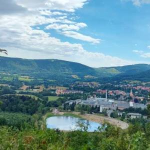 Brzeźnik (555 m n.p.m.) - brzeznik 555 m n p m 7