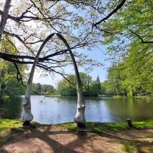 Szczęki Wieloryba w Mysłakowicach - szczeki wieloryba w myslakowicach 6