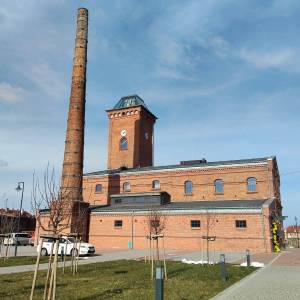 Żółty Folwark w Kochcicach - zolty folwark w kochcicach 14