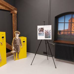 Żółty Folwark w Kochcicach - zolty folwark w kochcicach 6