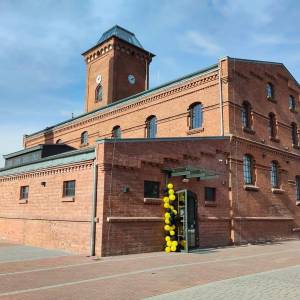 Żółty Folwark w Kochcicach - zolty folwark w kochcicach 9