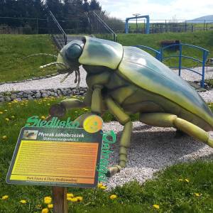 Park Mega Ryb w Mysłakowicach - park mega ryb w myslakowicach 2