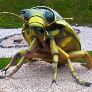 Park Mega Ryb w Mysłakowicach - park mega ryb w myslakowicach 3