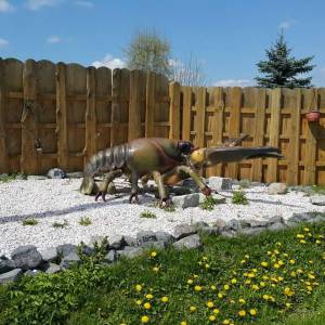 Park Mega Ryb w Mysłakowicach - park mega ryb w myslakowicach 6