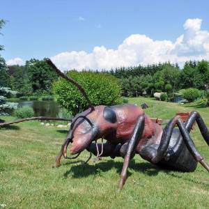 Park Mega Ryb w Mysłakowicach - park mega ryb w myslakowicach 8