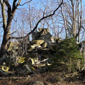 Mrowiec (507 m n.p.m.) - mrowiec 507 m n p m 1