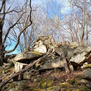 Mrowiec (507 m n.p.m.) - mrowiec 507 m n p m 2