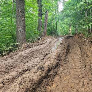 Mrowiec (507 m n.p.m.) - mrowiec 507 m n p m 3