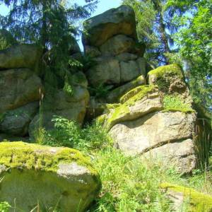 Mrowiec (507 m n.p.m.) - mrowiec 507 m n p m 4