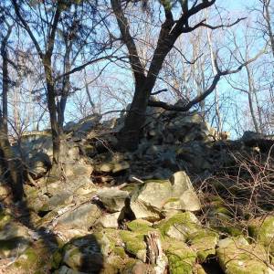 Mrowiec (507 m n.p.m.) - mrowiec 507 m n p m 5