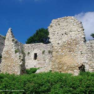 Szlak Orlich Gniazd - 20140820 zamek w bydlinie 3686