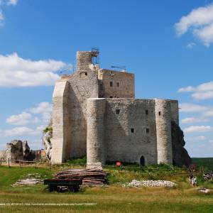 Szlak Orlich Gniazd - 2022 07 mirow 13