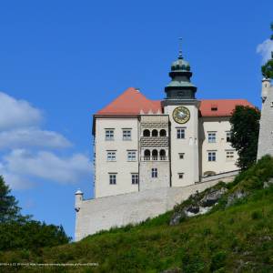 Szlak Orlich Gniazd - eagles nests trail 06