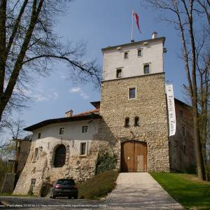 Szlak Orlich Gniazd - korzkiew zamek 20080426 3180