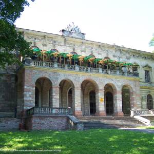 Szlak Orlich Gniazd - palac w pilicy4