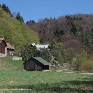 Szlak Park Zamkowy-Jaskinia Ciemna - dolina saspowska opn6