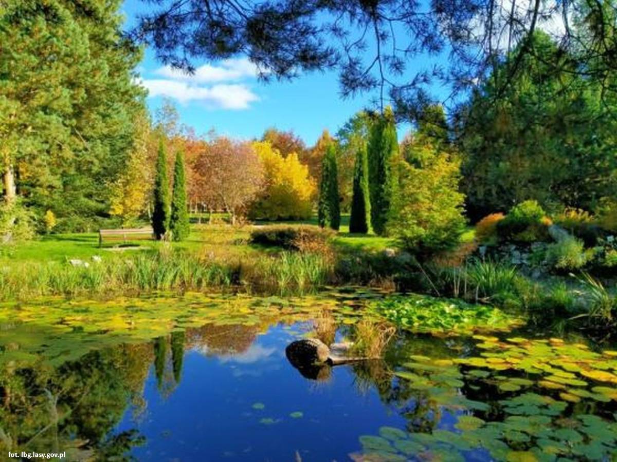 Arboretum w Miłkowie - arboretum w milkowie 2