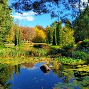 Arboretum w Miłkowie - arboretum w milkowie 2