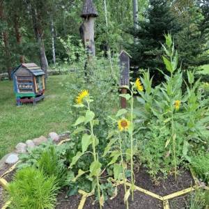 Arboretum w Miłkowie - arboretum w milkowie 5