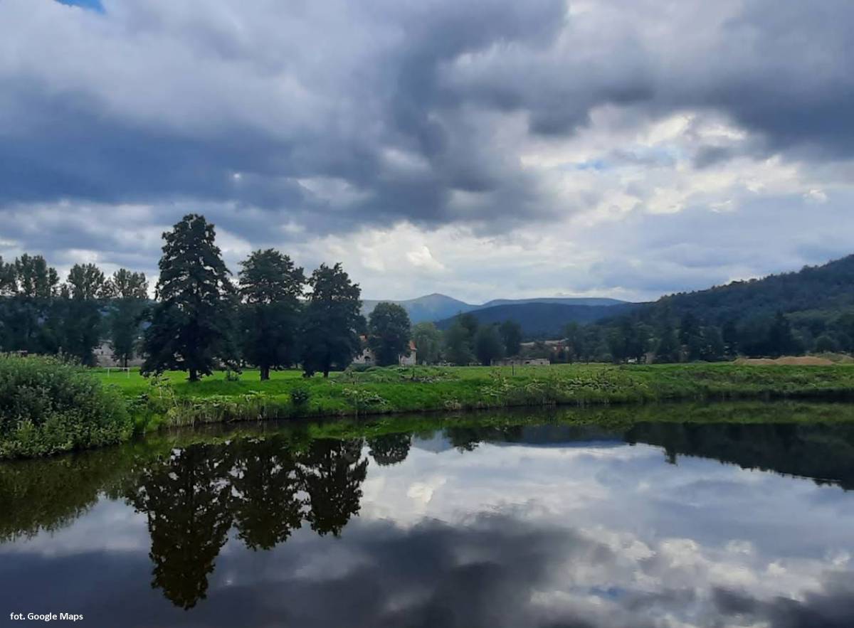 Park pałacowy w Miłkowie - park palacowy w milkowie 2