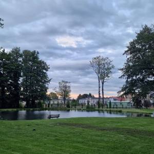 Park pałacowy w Miłkowie - park palacowy w milkowie 1