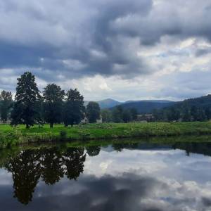 Park pałacowy w Miłkowie - park palacowy w milkowie 2