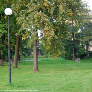 Park pałacowy w Miłkowie - park palacowy w milkowie 3