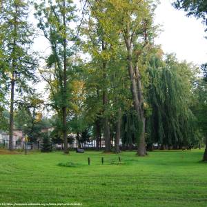Park pałacowy w Miłkowie - park palacowy w milkowie 4