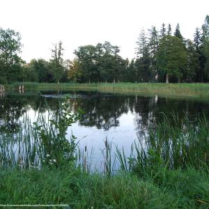 Park pałacowy w Miłkowie - park palacowy w milkowie 6